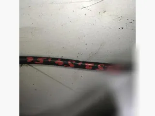  Датчик детонации BMW 3 E46 Арт 34431589, вид 1