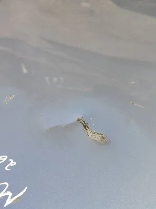  Капот Mazda 3 BK Арт 95851821, вид 7