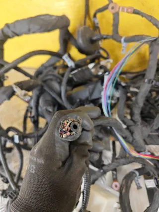 84780833 проводка салона Chevrolet Equinox 3 Арт 483-4, вид 2