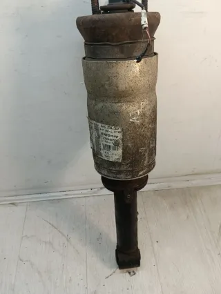  Пневмостойка передняя Land Rover Range Rover Sport 1 restailing Арт 97096270, вид 1