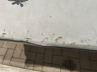  Сиденье третий ряд Volkswagen Caravelle T4 Арт 98497427, вид 10