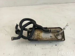 A6120700079 Радиатор топлива Mercedes C W203 2.2л Арт 98665671, вид 1