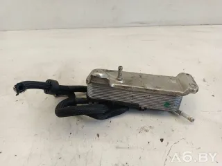 A6120700079 Радиатор топлива Mercedes C W203 2.2л Арт 98665671, вид 4