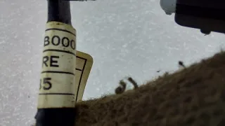 273502B000 Проводка катушек зажигания Hyundai Creta 1 Арт ST133290, вид 9