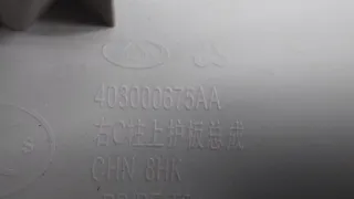 403000675AA, 403000675 Обшивка стойки EXEED LX Арт ST163588, вид 11