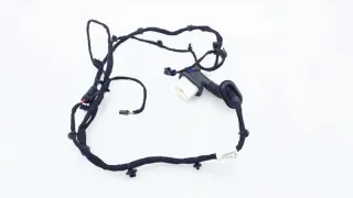 806008438AA, 806008438 Проводка двери EXEED LX Арт ST163683, вид 1