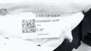 403005897AAABE, 403005897AA, 403005897 Обшивка стойки EXEED LX Арт ST163702, вид 9