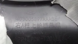 403005897AAABE, 403005897AA, 403005897 Обшивка стойки EXEED LX Арт ST163702, вид 10