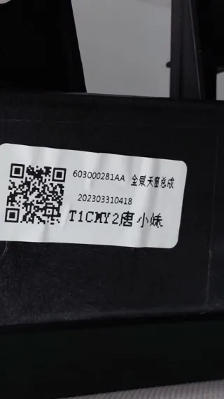 603000281AA, 603000281 Люк EXEED LX Арт ST163860, вид 16