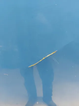  Дверь распашная задняя левая Citroen Jumper 2 Арт 10303, вид 2