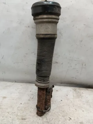  Пневмостойка передняя Mercedes S W220 Арт 102077040, вид 1