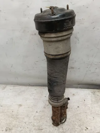  Пневмостойка передняя Mercedes S W220 Арт 102077040, вид 3