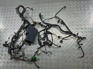  Проводка двигателя Mazda 3 BK 2.0л Арт 102219880, вид 1