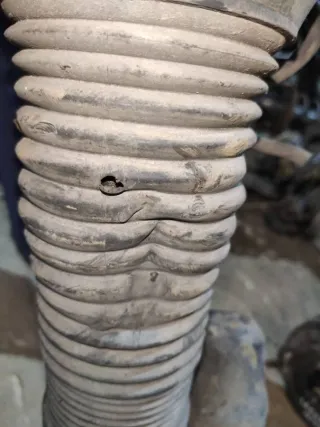  Пневмостойка передняя Volkswagen Phaeton Арт 103047307, вид 4