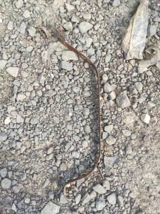  Крепление топливного бака Audi A6 C6 (S6,RS6) Арт 103096030, вид 1