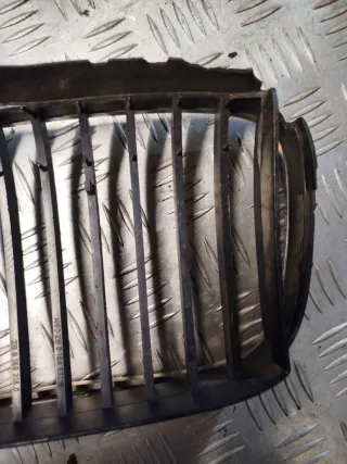  Решетка капота BMW 5 E39 Арт 06441, вид 2