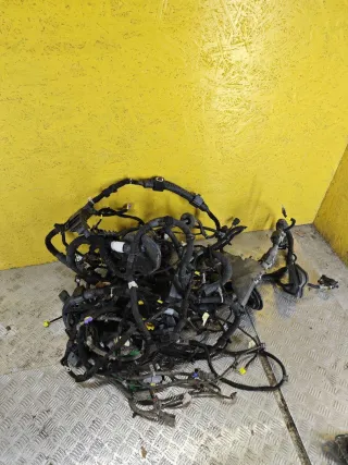 42789028 проводка салона Chevrolet TrailBlazer 3 Арт 483-8, вид 1