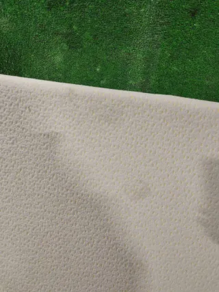 1797528 матрас спальника DAF XF 105 Арт 25482, вид 2