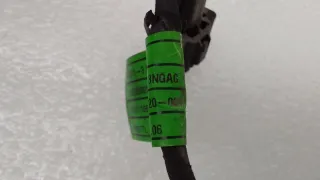 273123NFA0, 27312-3NFA0 Проводка катушек зажигания Kia Carnival 4 Арт ST277878, вид 7