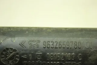 9632659780 Горловина бачка омывателя Citroen C5 1 Арт 103789257, вид 3