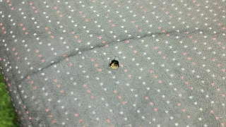  Сиденье переднее левое Citroen Jumper 2 Арт 103850849, вид 2