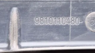 9810110480 Решетка стеклоочистителя (Дождевик) DS 7 Crossback Арт 104352978, вид 3