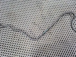 17128654824, 8654824 Патрубок расширительного бачка BMW 3 G20/G21 Арт 104740660, вид 4