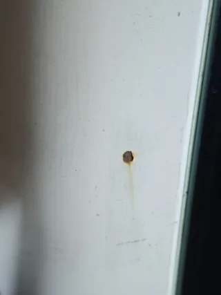  Дверь распашная задняя левая Citroen Berlingo 1 restailing Арт 104743321, вид 3