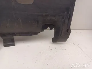 9802381980 Защита (пыльник) двигателя Citroen C3 2 Арт 104760055, вид 5