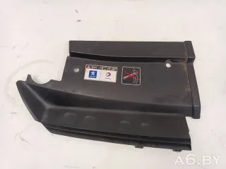 9649007677,1859058116 Накладка замка капота Peugeot 607 Арт 104973754, вид 2