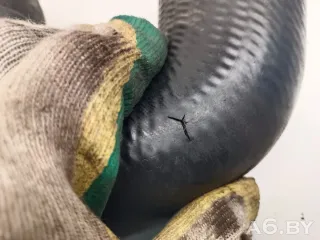 HSR20 Патрубок интеркулера Citroen C8 Арт 105663341, вид 6