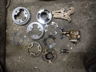 1438376 , 1726305 Звездочка распредвала BMW 5 E60/E61 3.0л Арт 107054411, вид 1