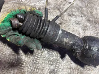  Гидроцилиндр задний Citroen Xantia Арт 107474466, вид 3