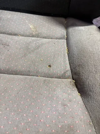  Сиденье переднее правое Citroen Xantia Арт 107474530, вид 8