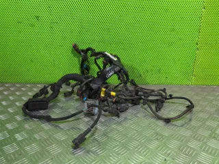 9800137480, 9815468280, AH01 Проводка двигателя Citroen jumpy 3 2.0л Арт G19922_3, вид 1