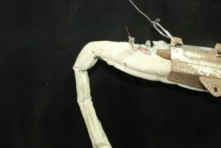  Подушка безопасности боковая (шторка) Citroen C3 1 Арт 107637581, вид 2