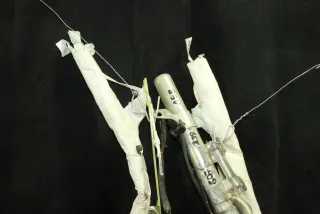 1495299080 Подушка безопасности боковая (шторка) Citroen C8 Арт 107637587, вид 3