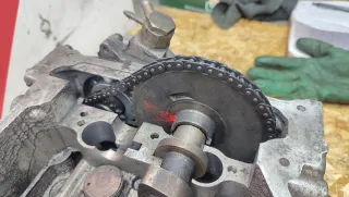  Звездочка распредвала Nissan X-Trail T30 2.2л Арт 108638433, вид 2