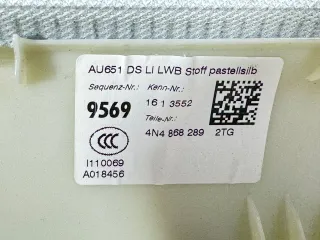 4N4868289 Потолок Audi A8 D5 (S8) Арт 9330, вид 5
