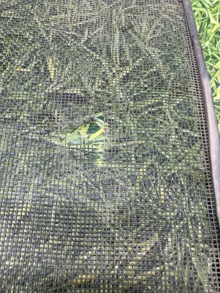 81062010124 Защита радиатора MAN TGX Арт 103977, вид 3