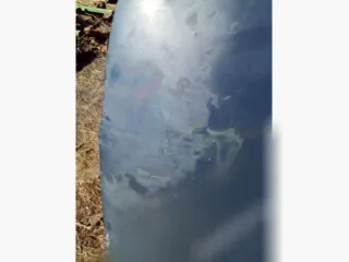  Капот Fiat Brava Арт 59771404, вид 2