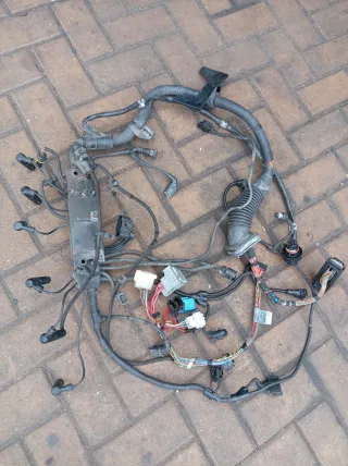  Проводка двигателя BMW X5 E53 3.0л Арт 114131923, вид 1