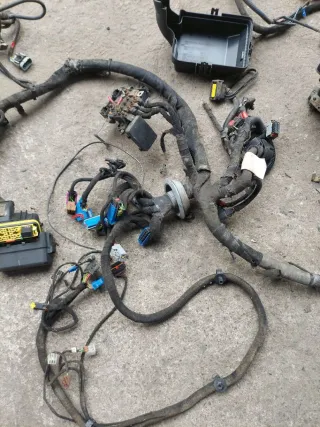  Жгут проводов (Проводка) Iveco Daily 4 Арт IVS02612, вид 4